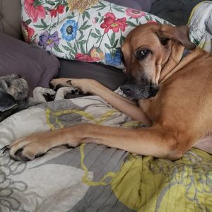 Meet your Posher, Corey